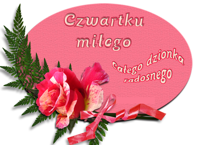 Różowa tabliczka z różą i napisem czwartku miłego